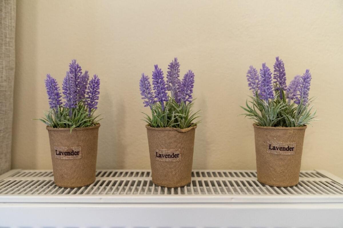 Blue Boutique Apts Amoudara Lasithiou 외부 사진