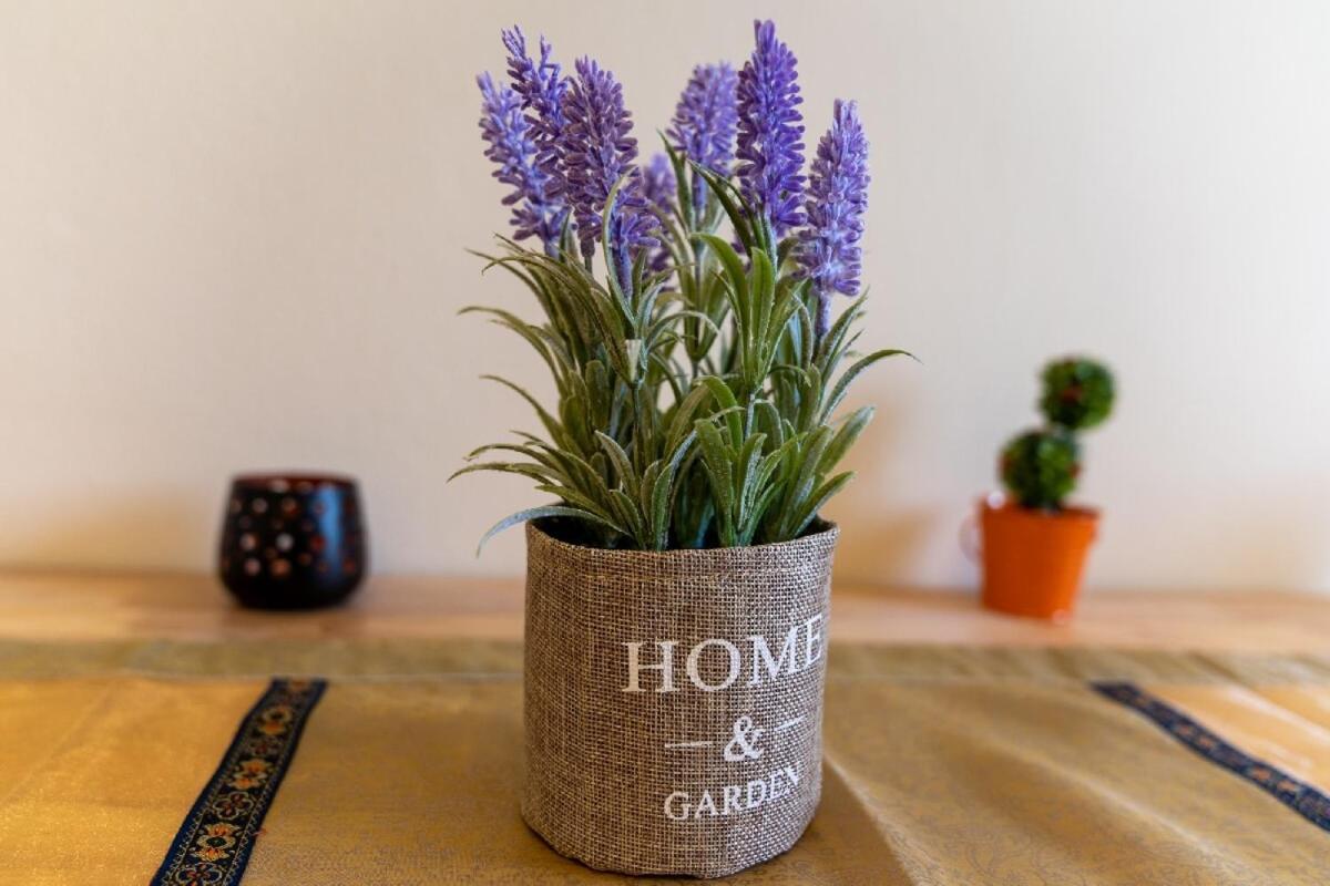 Blue Boutique Apts Amoudara Lasithiou 외부 사진
